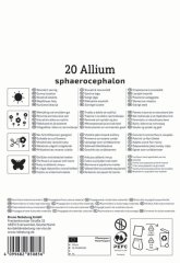 2700013/7102 Okrasný česnek kulatohlavý 20ks