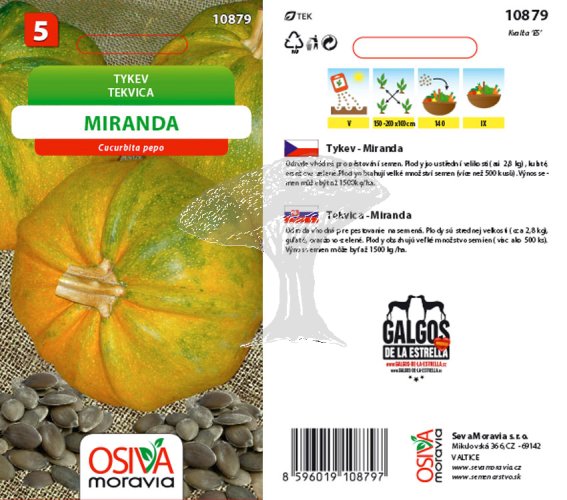 10879 Tykev olejná Miranda 10s / 3301
