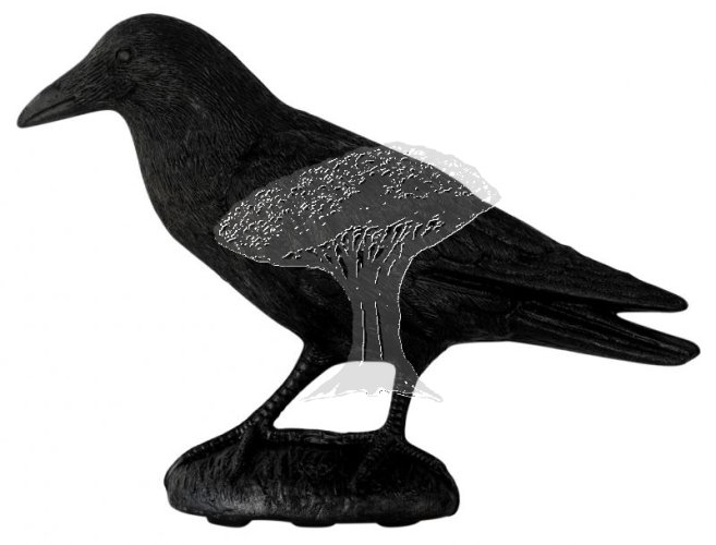 Maketa havrana stojící CH6245