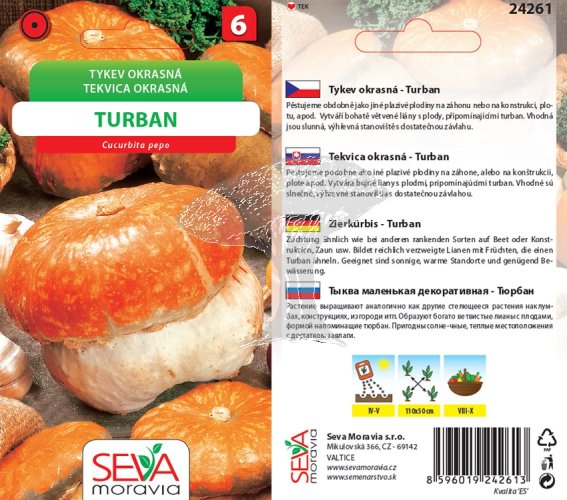 24261 Okrasné tykvičky Turban 10s / 3801