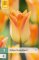 850607/8303 Tulipány Moonblus 7ks