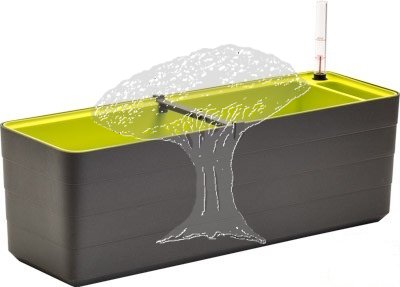 Truhlík Berberis 60 cm Antracit + Zelená