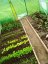 Foliovník segmentový 3x2x2m ZELENÝ/ CH5552
