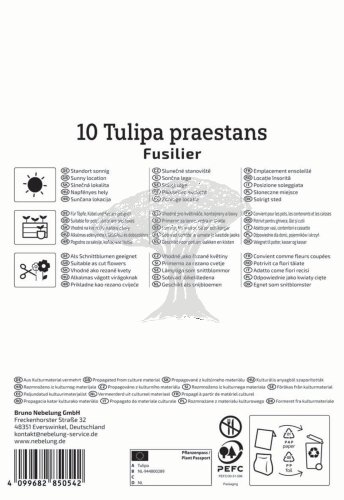 2000051/8405 Tulipány botanické oranžové 10ks