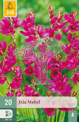 851386/8502 Ixien (Duhovnice) Mabel 20ks