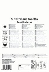 2450020/7701 Narcisy Geranium 5ks