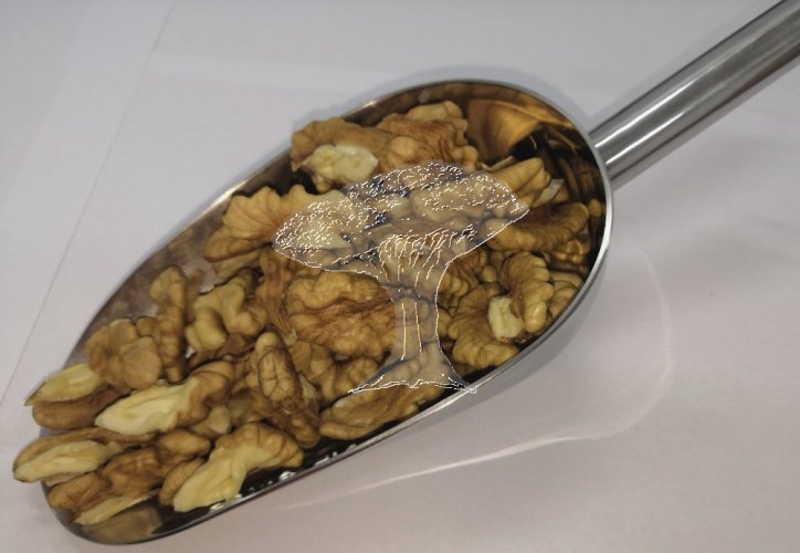 Loupané vlašské ořechy - jádra 3kg