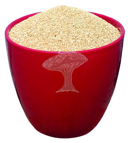 Quinoa bílá 1kg