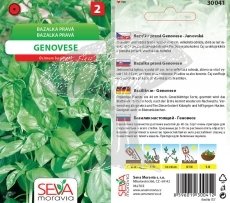 30041 Bazalka pravá Genovese 0,3g / 3501