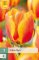 850238/8206 Tulipány Flair 7ks