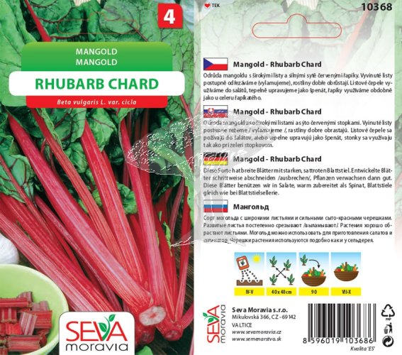 10368  Mangold Rhubarb Chard 4g / 1504