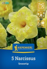 2450002/8103 Narcisy Snowtip 5ks