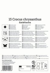 2650000/7303 Krokusy Goldilocks 12ks