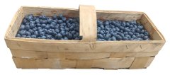 Čerstvé borůvky KANADSKÉ (zahradní) 3kg