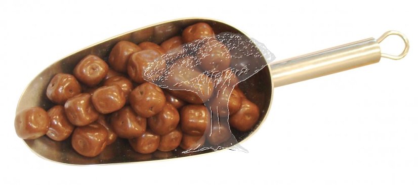 Kokos v mléčné čokoládě 250g