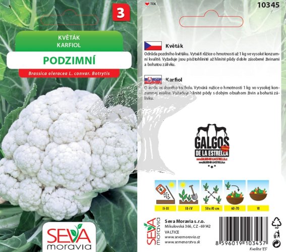 10345 Květák podzimní 0,4g / 1409