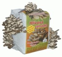 Hlíva ústřičná substrát 15l cca 6kg