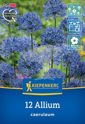 2700002/7201 Okrasný česnek směs 12ks