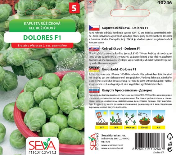 10246 Kapusta F1 Dolores 0,2g / 1208