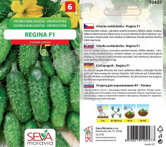 10457 Okurky F1 Regina 1g / 1710