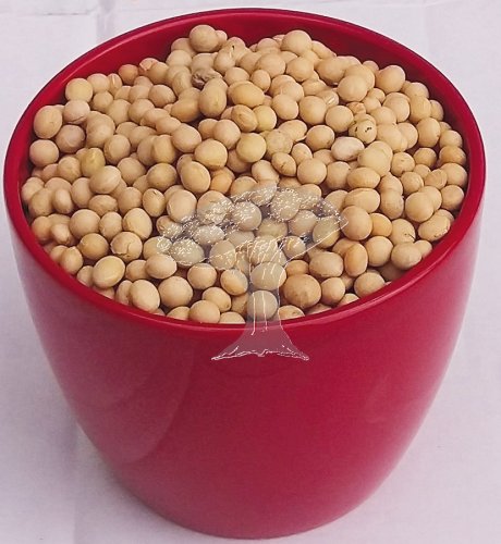 Sója 1kg