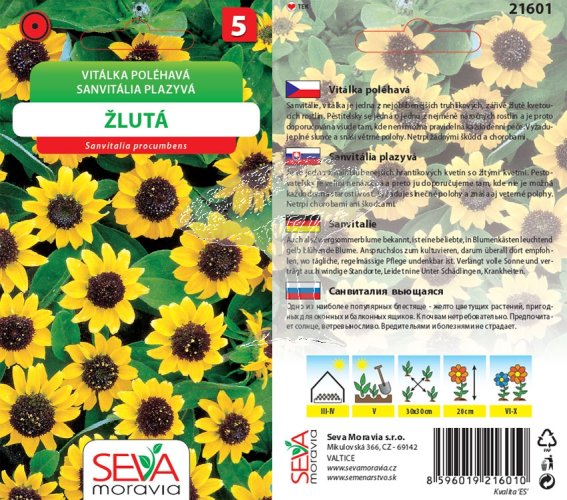 21601 Vitálka poléhavá žlu. s tm. stř. 0,3g / 4311
