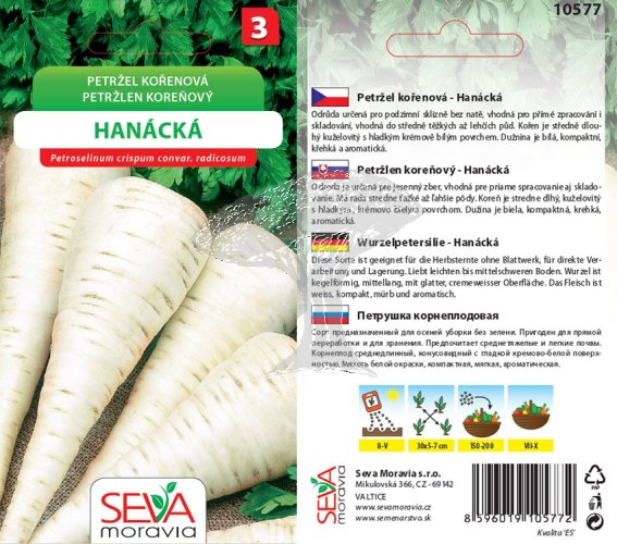 10577 Petržel kořenová Hanácká 3g / 2402