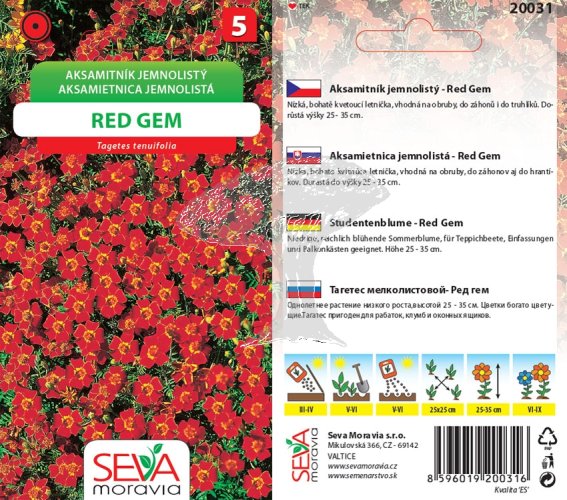 20031 Aksamitník Red Gem 0,2g / 3810