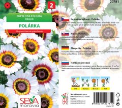 20781 Kopretina Polárka 0,4g / 4202