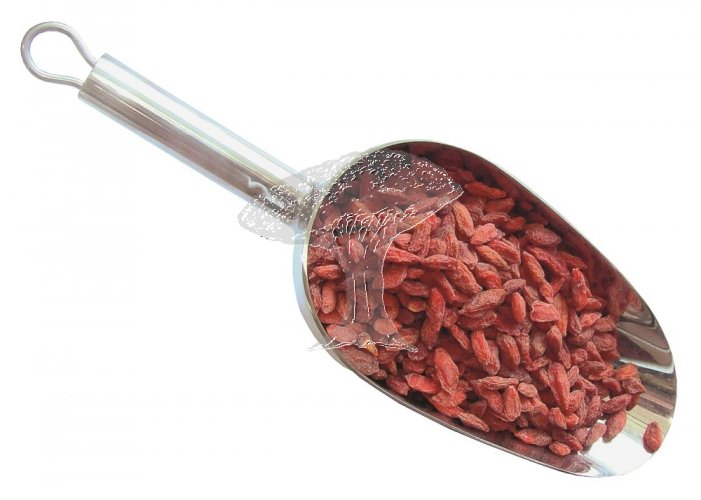 Kustovnice čínská (GOJI) 500g