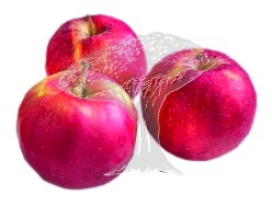 Jablka Red Prince (krabice 17kg)