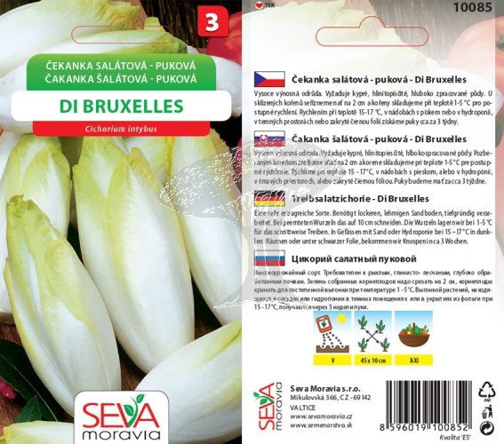 10085 Čekanka salátová Di Bruxelles 0,7g /D100