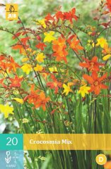 852222/8601 Montbrécie (Crocosmia) drobnokvětá směs 20ks