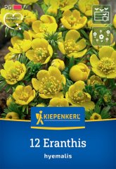 2775010/8402 Talovín zimní 12ks