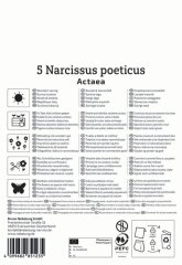 2450017/8101Narcisy poeticus Actaea 5ks