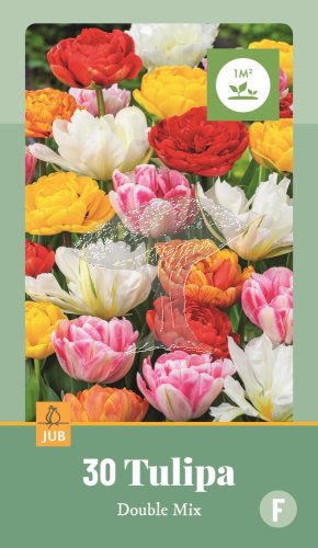 853045/99 Tulipány plnokvěté směs 30ks