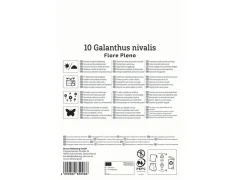 2775017/8401 Sněženky plnokvěté 10ks