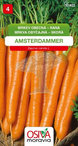 10403 Mrkev Amsterdammer 3g / 1604