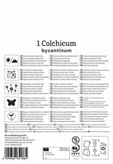 2650012/8104 Ocún byzantský 1ks