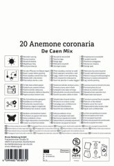 2775006/8303 Sasanky De Caen (jednoduché) směs 20ks