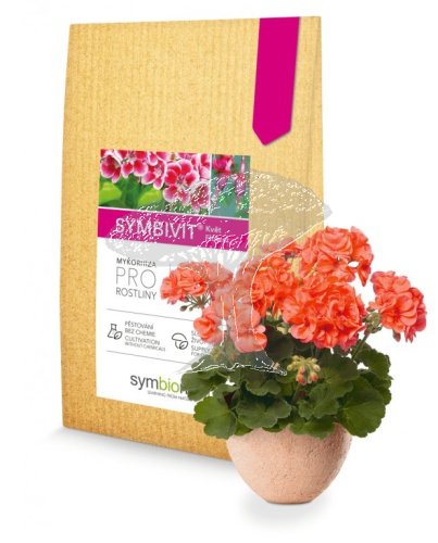 Symbivit Květ (dříve Symbivit Muškát) 150g