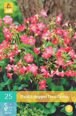 852251/8606 Šťavel (Oxalis) Iron Cross 25ks