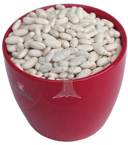 Fazole bílé STŘEDNÍ 1kg
