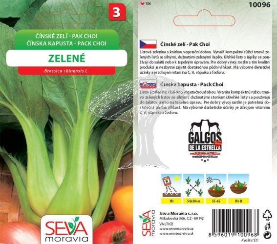 10096 Čínské zelí Pack Choi zelené 0,4g / 2310