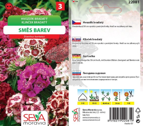 22081 Hvozdík bradatý Směs 0,5g / 4403