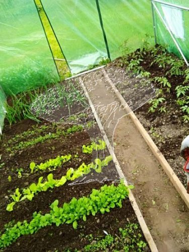 Foliovník segmentový 3x2x2m ZELENÝ/ CH5552