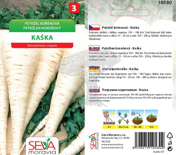 10580 Petržel kořenová Kaska 3g / 2311