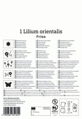 2750002/7502 Lilie Friso 1ks