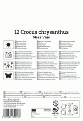 2650002/7304 Krokusy Miss Vain 12ks