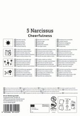 2450001/7702 Narcisy Cheerfulness 5ks